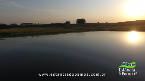 Renato Borghetti   Kilómetro Once (Transito Cocomarola)   Instrumental Sesc Brasil [VDownloader].00_00_17_09.Quadro009_cb0b2390685f639c3ec5ee6919ee73b5e26f76ed.jpg